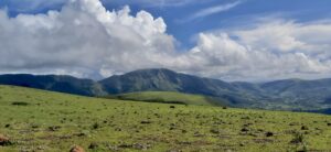 Grassy hilltop of Deomali, the highest peak of Odisha, in Koraput district, Eastern Ghats